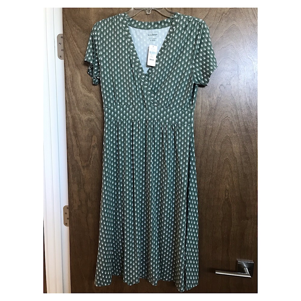 Lands End green and white print dress